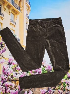 AG Adriano Goldschmied Farrah Skinny Pants 24‎